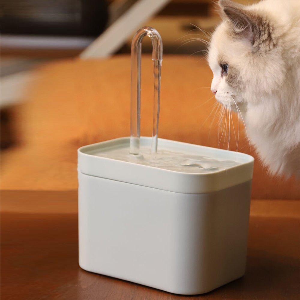 cat-automatic-water-dispenser-fountain-610578.jpg